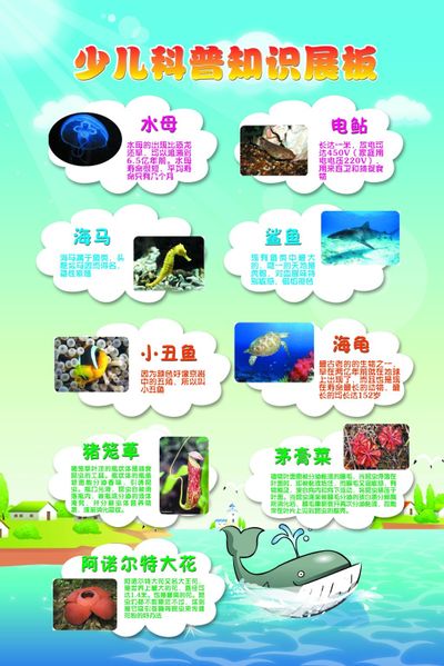 科普月 人人该收藏的 5 个急救知识