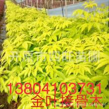 农业公用事业及其他
